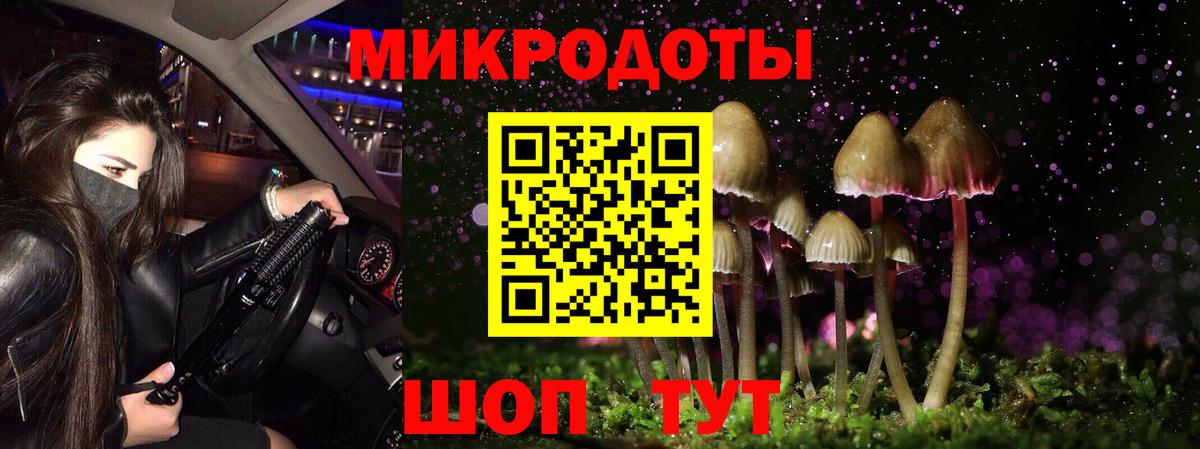 Галлюциногенные грибы Psilocybe  Вход с VPN  наркотики  Тихорецк 